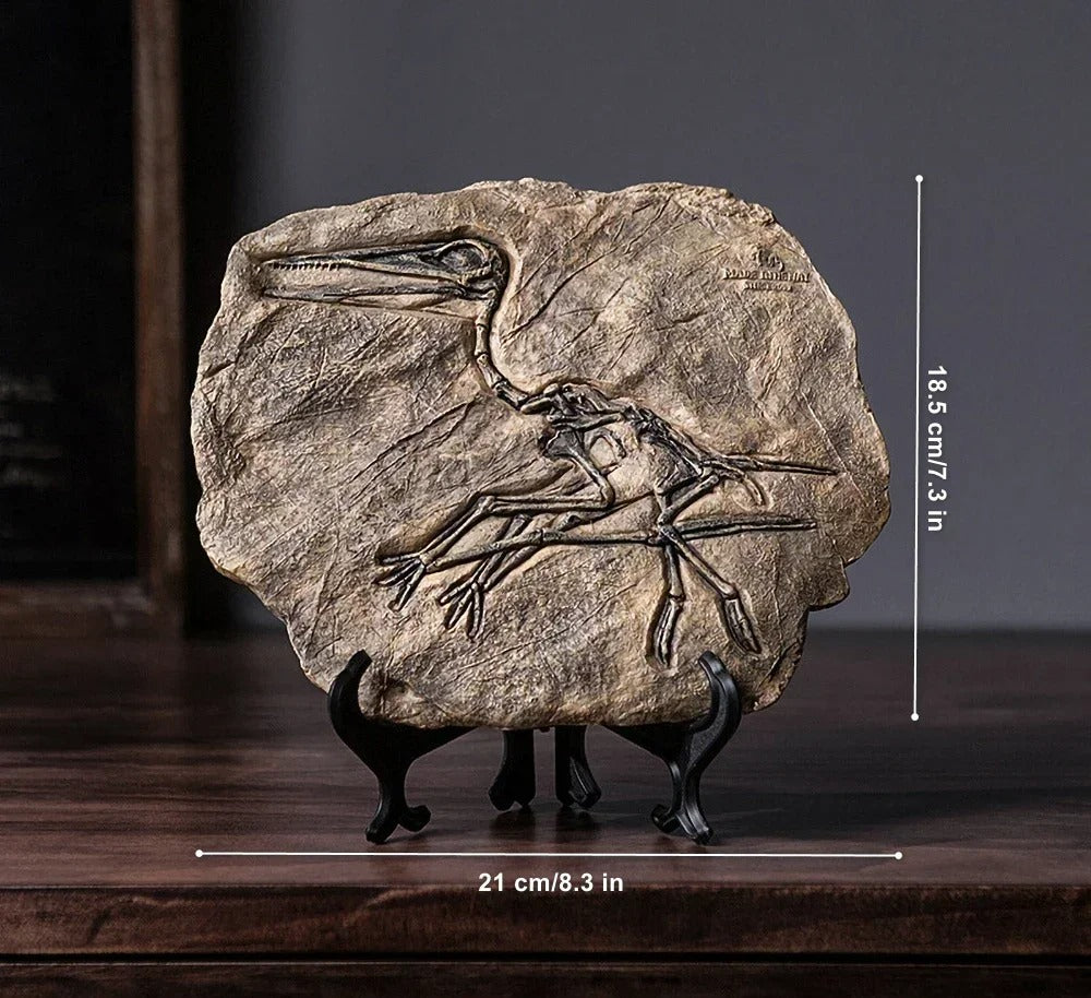 Escultura Fóssil de Dinossauro